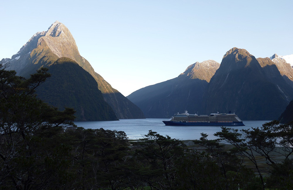 CruiseIsBack1