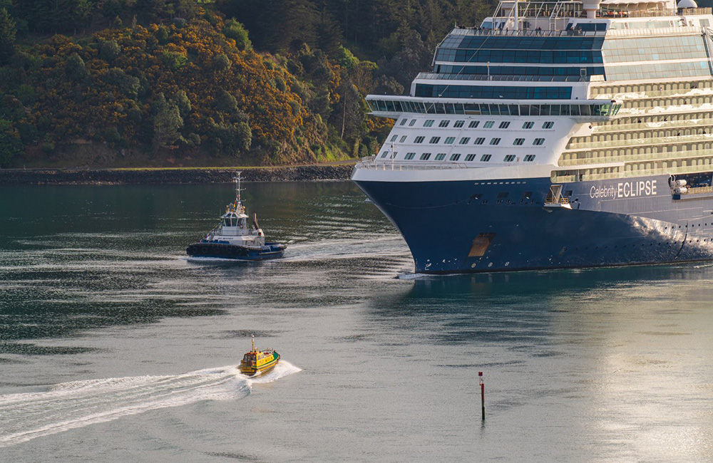 CruiseIsBack3