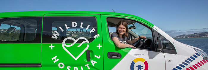 WildlifeAmbulance